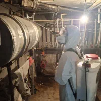 سمپاشی و کنترل آفات مشاوره رایگان