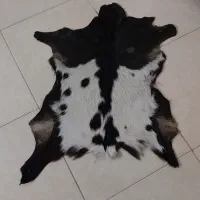 تعدادی وسیله