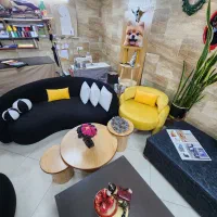 رویه کوب مبل راحتی یا زیر کار در بیار|استخدام صنعتی، فنی، مهندسی|تهران, شمیراننو|دیوار