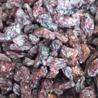 خریدوفروش عمده مویزو کشمش|عمده‌فروشی|شیراز, ارم|دیوار