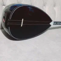 ساز خوش صدا در حد نو|سازهای سنتی|سلماس, |دیوار