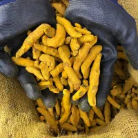 پخش انواع ادویه‌جات اصیل عمده و جزئی|خوردنی و آشامیدنی|فردیس, شهرک راه آهن|دیوار