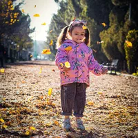 جشنواره عکاسی حرفه ای فضای باز (حراج استثنایی)