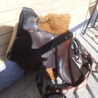 زین اسب کورسی آلمانی مخصوص سوارکاری قدمت دار|اسب و تجهیزات اسب‌سواری|بهار, |دیوار