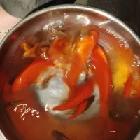 ماهی قرمز|ماهی|تهران, دانشگاه شریف|دیوار