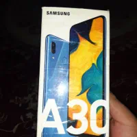 a30