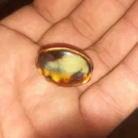 سنگ قیمتی|جواهرات|باغستان, |دیوار