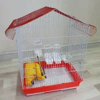 قفس عروس هلندی