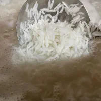 برنج طارم هاشمی کیلویی ۲۸۹|خوردنی و آشامیدنی|بابل, |دیوار