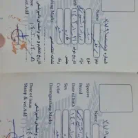 اشپیتزتریر