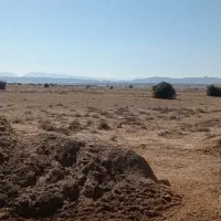 زمین کشاورزی 10 هکتاری دیم در دشت دژگاه|فروش زمین و ملک کلنگی|جم, |دیوار