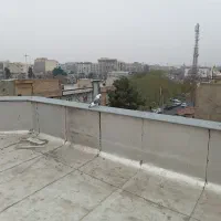 کبوتر|پرنده|کرج, مهرویلا جنوبی|دیوار