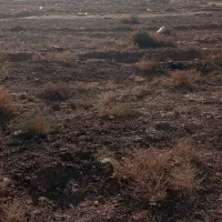 زمین-فروشی-غصن-اباد-فروشی-دارم