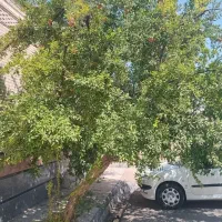 رهن کامل ویلایی دربست