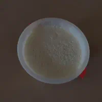 ماست گوسفندی