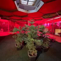 ۵۰۰مترزمین کهک بهترین جا برای باغ یاباغچه