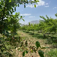 فروش زمین باغی تفریحی ولب اب پلزمانخان سامان|فروش زمین و ملک کلنگی|اصفهان, کوی ولی عصر|دیوار