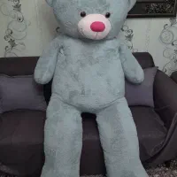 خِرس شاسخین