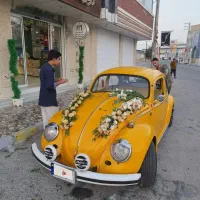 فلوکس بیتل 1960