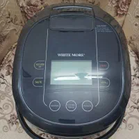 پلوپز برقی
