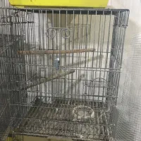 قفس کاسکویی