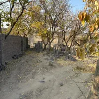 236متر-باغچه-چهار-دیواری-سنددار