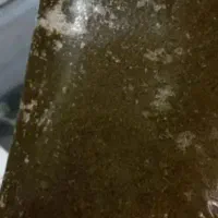 سبزی خوش عطر وطعم رامهرمز