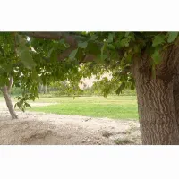 فروش زمین کشاورزی در فیروزکوه|فروش دفتر صنعتی، کشاورزی، تجاری|فیروزکوه, |دیوار