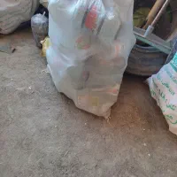 شیشه رب|ظروف نگهدارنده، پلاستیکی، یک‌بارمصرف|مریوان, |دیوار