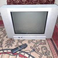 تلفزیون