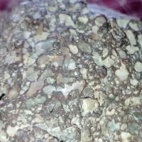 داوطلب دوره سنگ شناسی