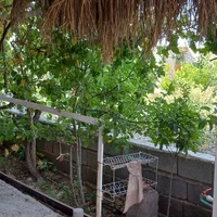 جوپارستانورودی شهرک|فروش خانه و ویلا|ماهان, |دیوار