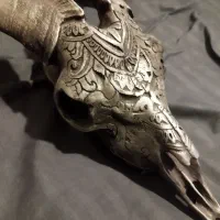 دیوار کوب طرح شاخ گوزن