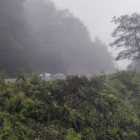 بهترین موقعیت سرمایه گذاری باغ جاده دانشگاه