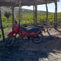 فروش تریل ۲۰۰