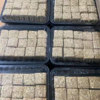 انرژی بار معجون پروتئینی عسلی ۲۵گرم