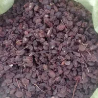 فروش عمده کشمش آفتابی کاشمر پخش مستقیم