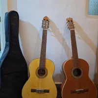 گیتار کلاسیک، گیتار پارسی، گیتار رویال، گیتار نو
