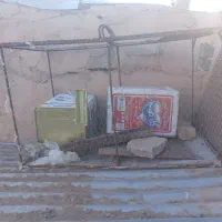 جفتگاه