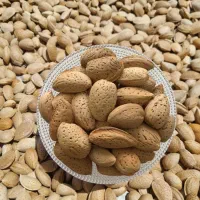 بادام مامایی و سنگی ارگانیک مستقیم از باغدار|خوردنی و آشامیدنی|اصفهان, کوی گلزار|دیوار