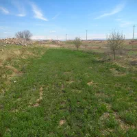 زمین-باغ