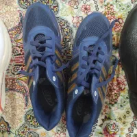 کفش مردانه|کیف، کفش، کمربند|گلبهار, شهر جدید گلبهار|دیوار