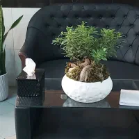 استخدام فروشنده خانم