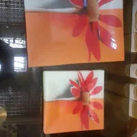 ظرف ارکوپال