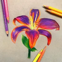 آموزش نقاشی از کودک تا بزرگسال