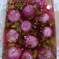 ترشی خانگی|خوردنی و آشامیدنی|تهران, نارمک جنوبی|دیوار