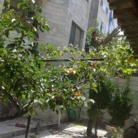 فروش-یک-دانگ-منزل-ویلایی
