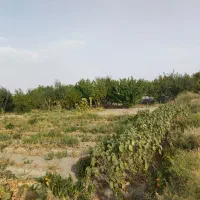 فروش باغ|فروش زمین و ملک کلنگی|مشهد, اسماعیل آباد|دیوار