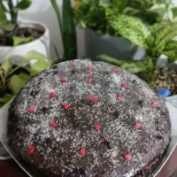 کیک های خونگی تازه