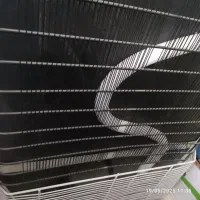 یخچال ایستاده کاملا سالم و کم کار کرد|فروشگاه و مغازه|قروه, |دیوار